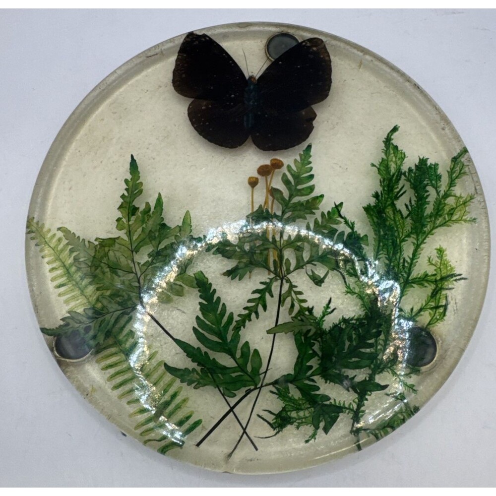 Vintage Lucite 7.75” Butterfly & Ferns Leaves Round Trivet hot plate